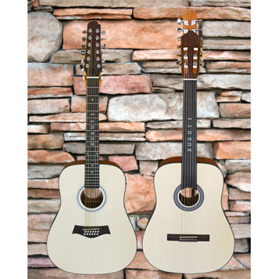 12 String Acoustic / 6 String Fretless Classical...