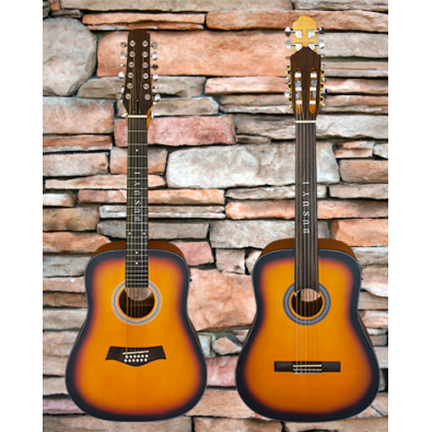 12 String Acoustic / 6 String Fretless Classical...