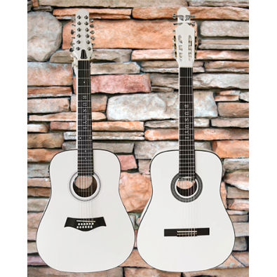 12 String Acoustic / 6 String Classical Electric,...