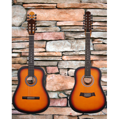 12 String Acoustic / 6 String Classical Electric,...
