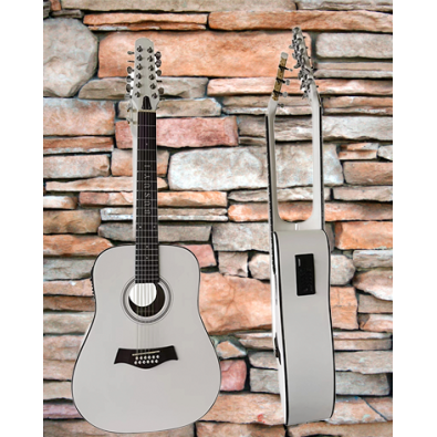 12 String Acoustic / 6 String Classical Electric,...