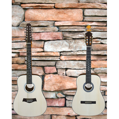 12 String Acoustic / 6 String Classical Electric,...