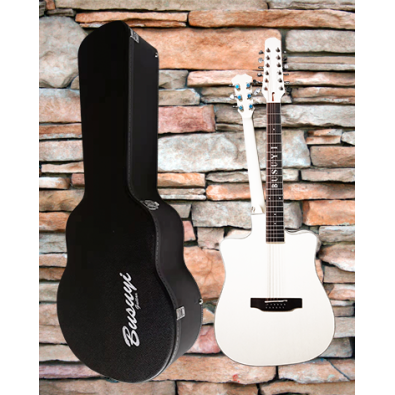 12/6 Strings Acoustic Electric, Double Sided Busuyi...