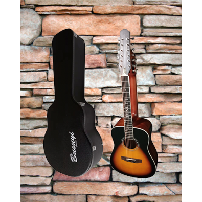 copy of 12/6 Strings Acoustic Electric, Double Sided...