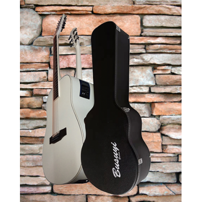 12/6 Strings Acoustic Electric, Double Sided Busuyi...