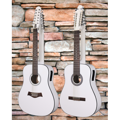 12 String Classical / 12 String Acoustic Electric,...