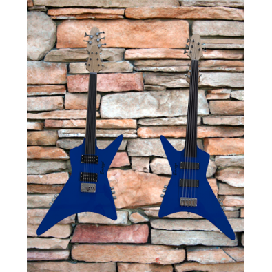 5 String Fretless Bass/ 6 String Fretless Double...
