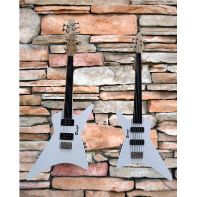 5 String Fretless Bass/ 6 String Fretless Double...