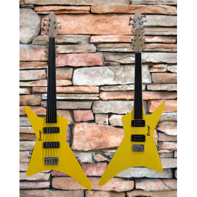 5 String Fretless Bass/ 6 String Fretless Double...