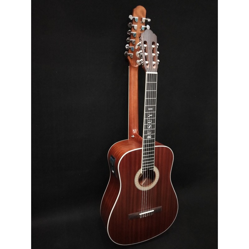 12 Strings Acoustic / 6 String Classical Electric, Double Sided Busuyi Guitar 2020 PTC + Hard Case