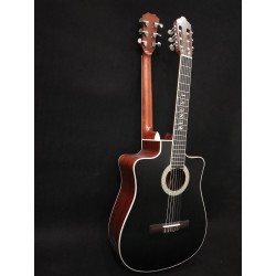 6 Strings classical /6 Strings Acoustic Double Neck, Double Sided Busuyi Guitar 2021 NPT