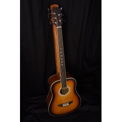 5 String Fretless Bass/ 12 String Acoustic/ Electric Busuyi Guitar