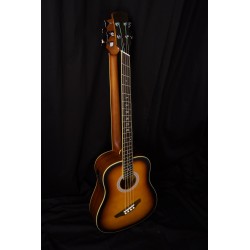 5 String Fretless Bass/ 12 String Acoustic/ Electric Busuyi Guitar