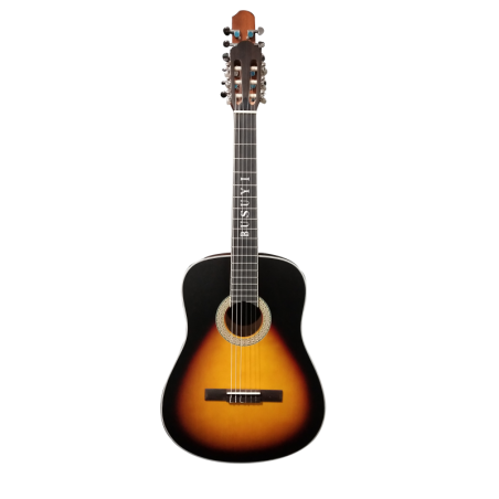 12 String Acoustic / 6 String Classical Electric, Double Sided Busuyi Guitar 2020 NPT