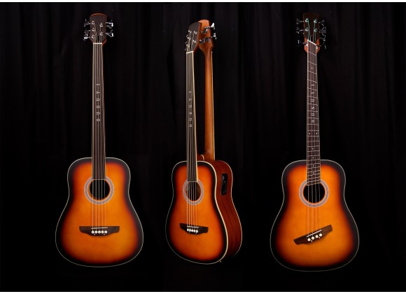 The 4 String Fanned Fret Acoustic Electric Bass